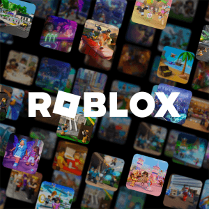 Roblox ID Pass Robux Top Up Service Nepal